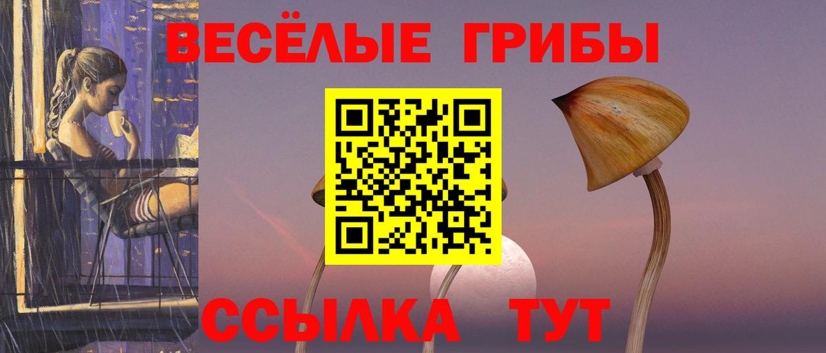 Псилоцибиновые грибы прущие грибы  Галлюциногенные грибы мухоморы  Саров  Вход с VPN 